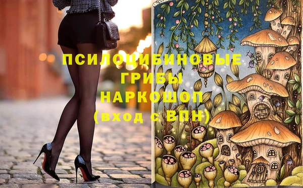 амф Приозерск