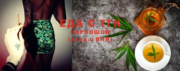 индика Краснослободск