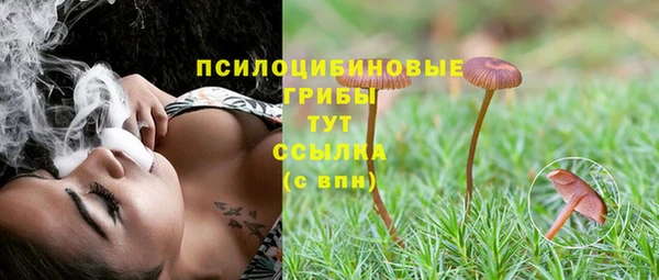 амф Приозерск