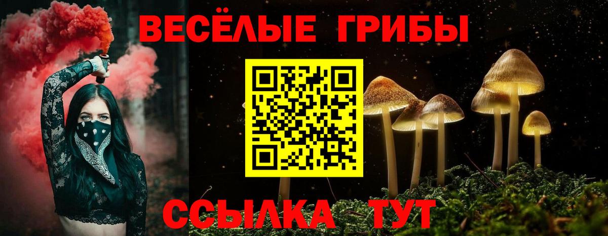 Вичуга  Псилоцибиновые грибы мухоморы  Вход с VPN 