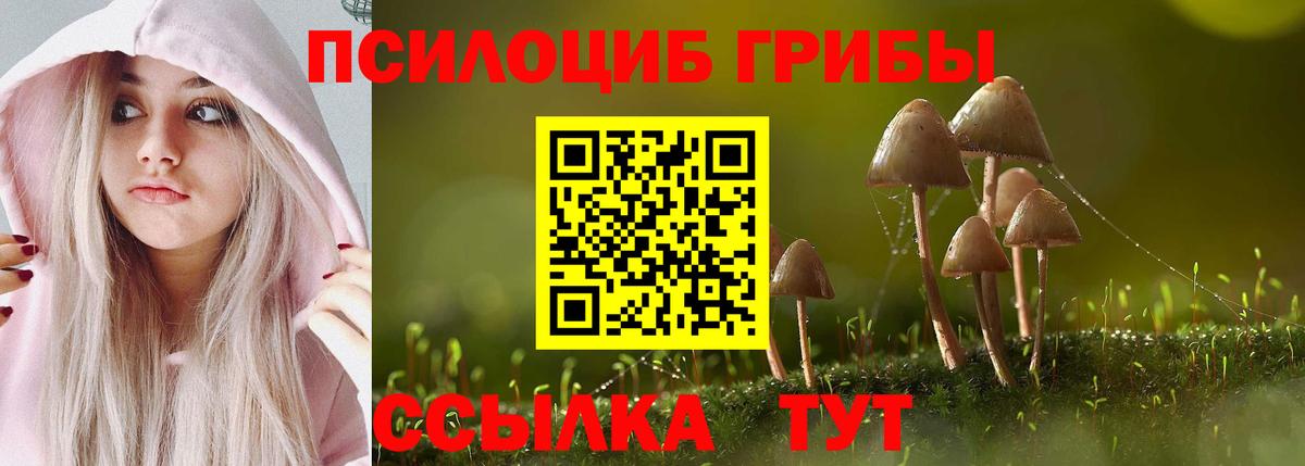 Галлюциногенные грибы Magic Shrooms Вичуга